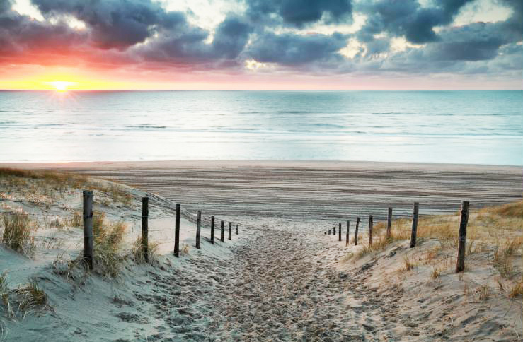 MF050 Wall décor art photographic on canvas seascape beach path sunset